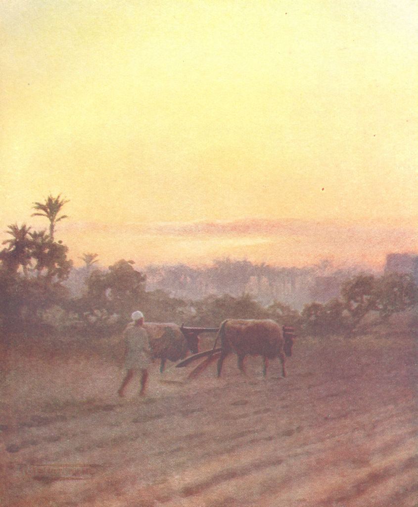 EGYPT. Late Labour 1912 old antique vintage print picture